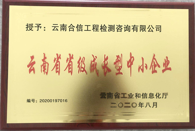 喜訊！國(guó)檢集團(tuán)•云南合信公司又獲一榮譽(yù)